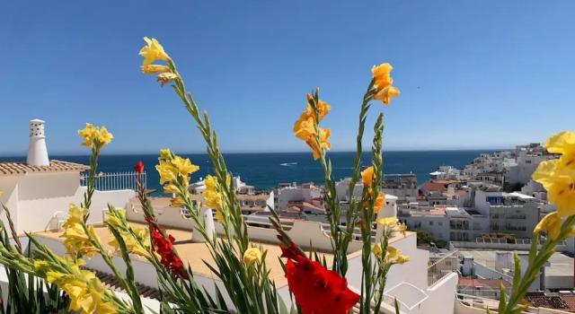 Апартаменты Albufeira Sea View 25