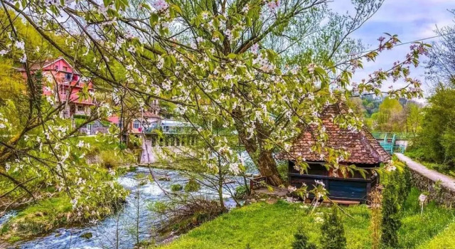 Коттедж c 1 комнатой Apartman Cherry Gradac Valjevo