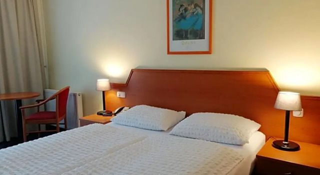 Номер Standard Hotel Alpina