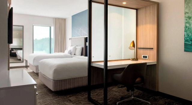 Люкс с видом на внутренний двор SpringHill Suites by Marriott Tampa Suncoast Parkway
