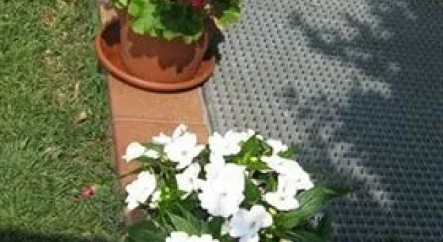 B&B Villa Patrizia