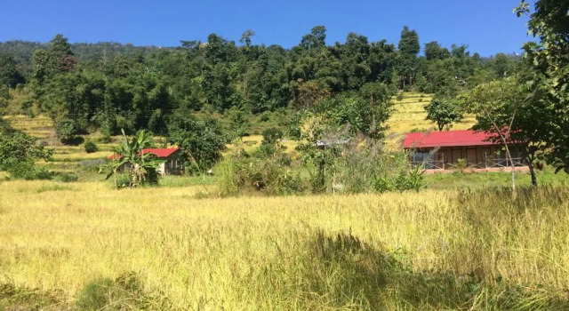 Номер Standard PaliGhar Farmstay