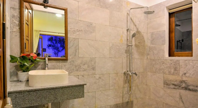 Двухместный номер Superior Fig Tree Boutique Villa