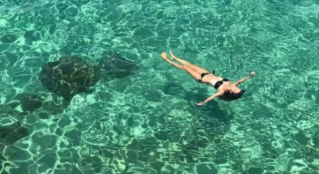 Ulivo, Buchen Sie Hotel Monopoli Metropolitanstadt Bari