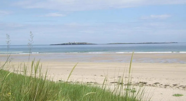 Апартаменты Pintail Apartment Bamburgh