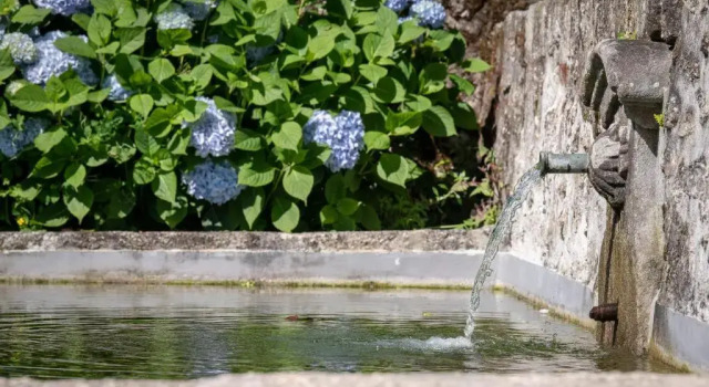 Коттедж Quinta de Luou