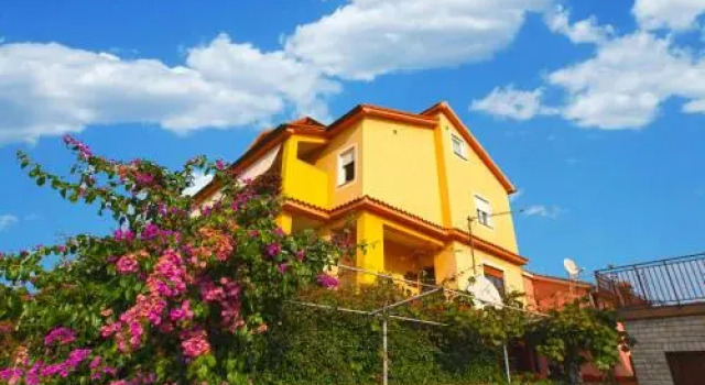 Apartment Snezana 1200