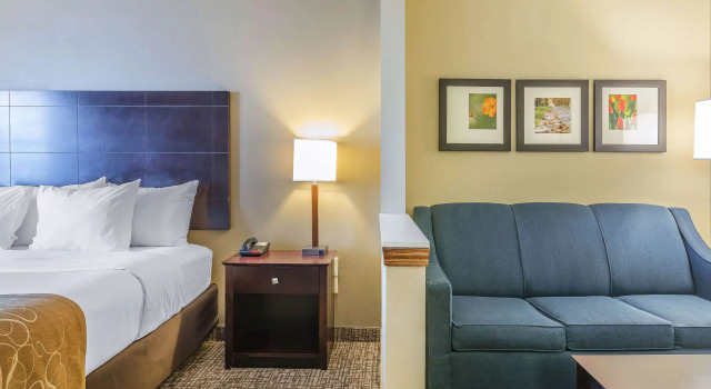 Двухместный люкс Comfort Suites Fort Wayne North