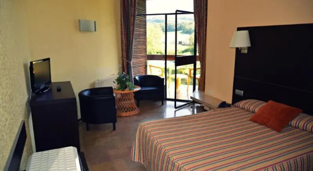 Standard room Hotel Baztan