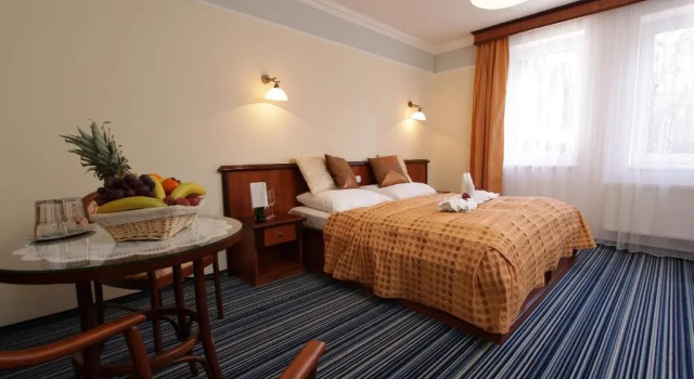 Номер Standard Spa & Wellness Hotel Harmonie
