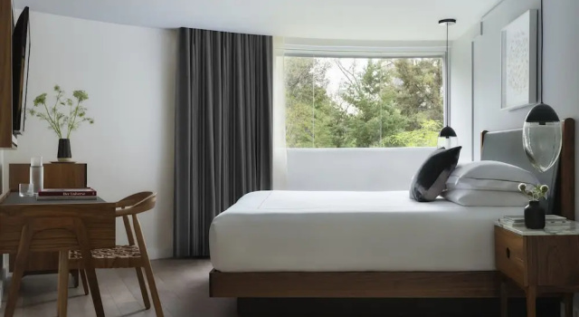 Двухместный номер Standard Kimpton Virgilio Polanco by IHG