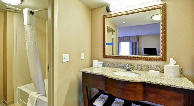Двухместный люкс Hampton Inn and Suites Fredericksburg