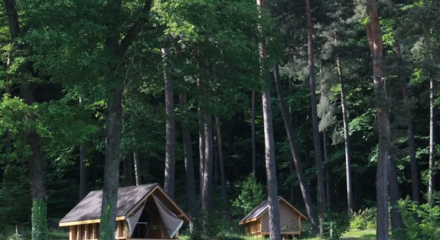 Klassisch Zimmer Camping Osenbach