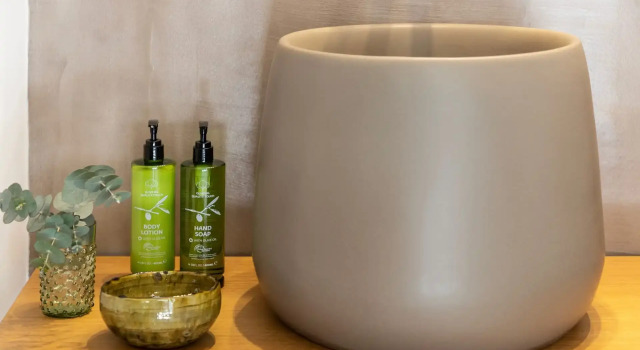 Suite with plunge pool Premier Albatros Spa & Resort Hotel