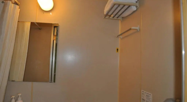 Двухместный номер Standard Green Hotel Rich Tokugawaen