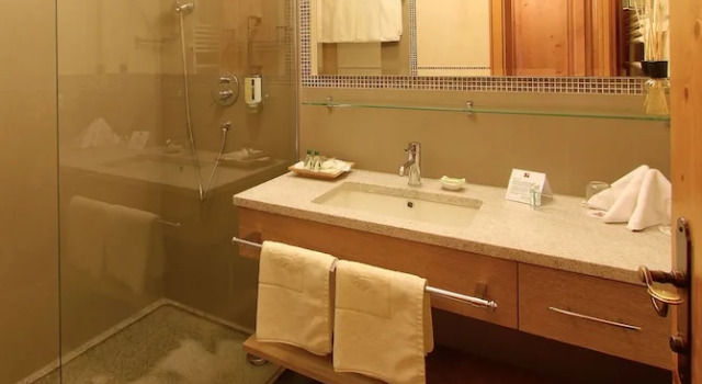 Номер Standard Hotel Alpin Spa Tuxerhof