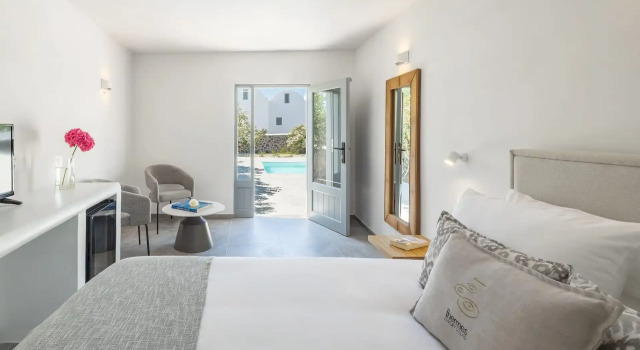 Одноместный полулюкс Thermes Luxury Villas by Mr and Mrs White