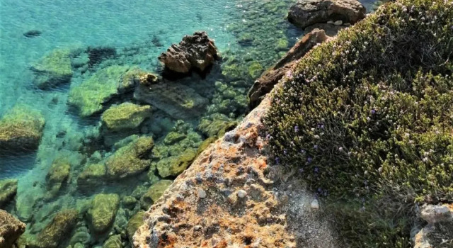 Villa Banny a Stones Throw From the Town Center Amazing View-------------------, Book Villa Hotels in Sicily with Parking, Parking