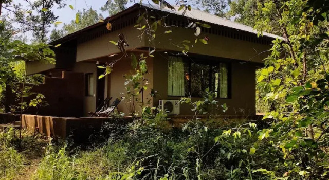 Коттедж Luxury Saccharum Safari Lodge