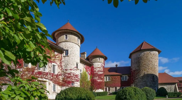 Апартаменты с 2 комнатами Château de Thorens