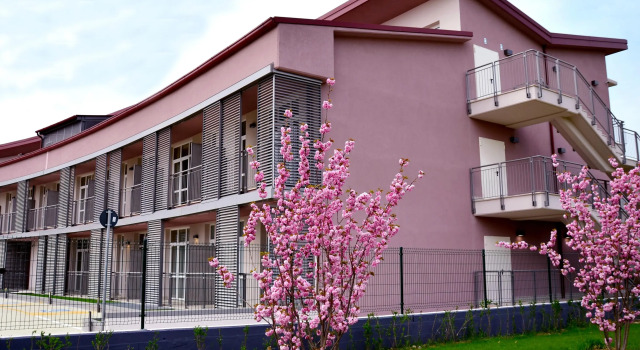 Privilege Apartments