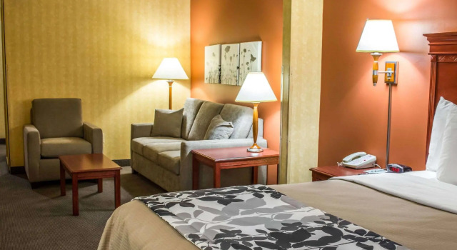 Двухместный люкс Comfort Inn & Suites Ashland - Richmond North