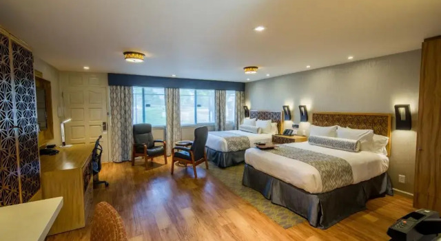 Четырёхместный номер Standard Hotel Strata