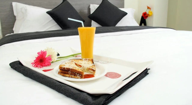 Номер Executive HOTEL NEW BHARTI