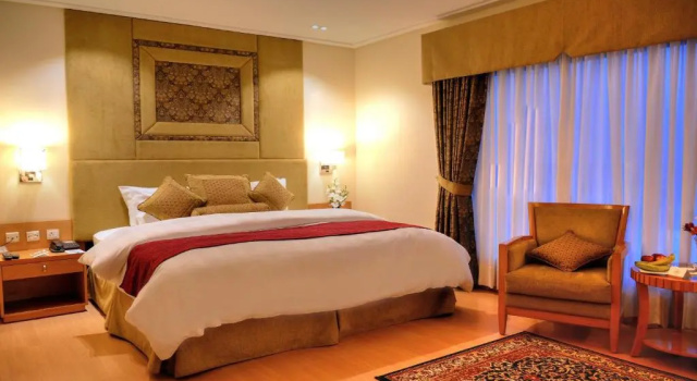 Двухместный номер Deluxe Park Lane Hotel