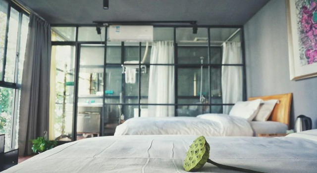 Lotus Bloom Youth Hostel