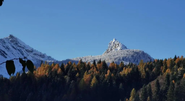 Номер Deluxe Dolomiti house
