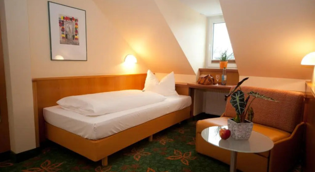 Одноместный номер Standard Hotel Mehl