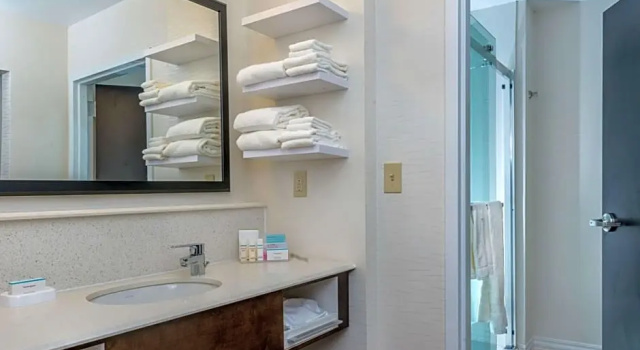 Двухместный люкс Hampton Inn & Suites New Albany Columbus