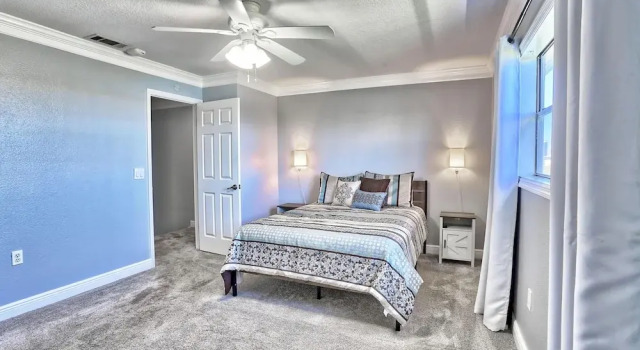 Sea Shell 28