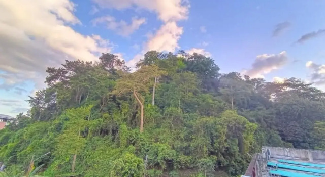 Двухместный номер Deluxe с видом на сад Mountain View Hostel - Krabi Airport