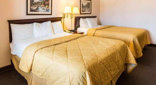 Standard- værelse Econo Lodge Stephenville
