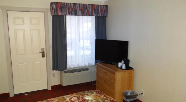 Номер Standard Edelweiss Ski Lodge