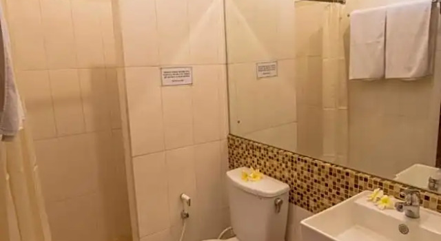 Номер Deluxe Hotel Puri Nusa Indah