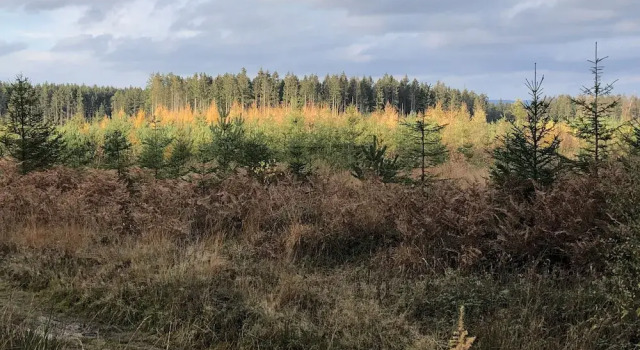 Rustic Cottage in Jevigne, Забронировать Дом для отпуска Отели Льернёкс с парковкой, Парковка