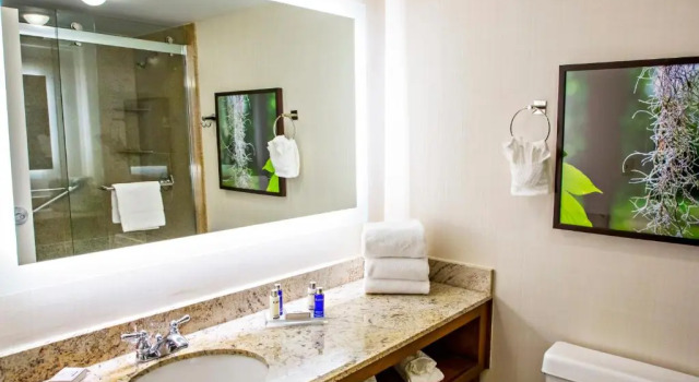 Номер Standard с видом на бассейн Hilton Ocala