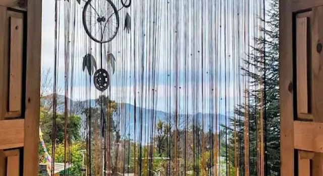 The Bunker Hostel - Dharamkot