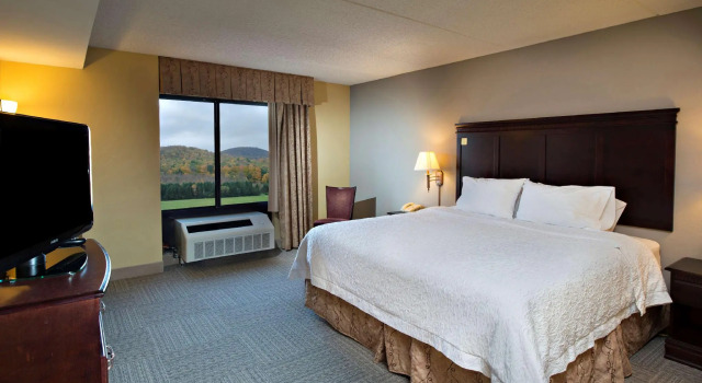 Двухместный люкс Hampton Inn Bennington