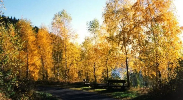 Апартаменты Apartment in Eibenstock