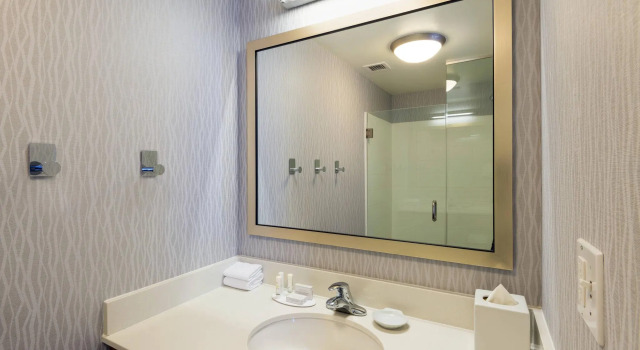 Двухместный люкс SpringHill Suites by Marriott Louisville Downtown