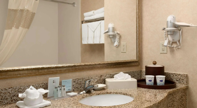 Четырёхместный номер Standard Hampton Inn & Suites San Marcos