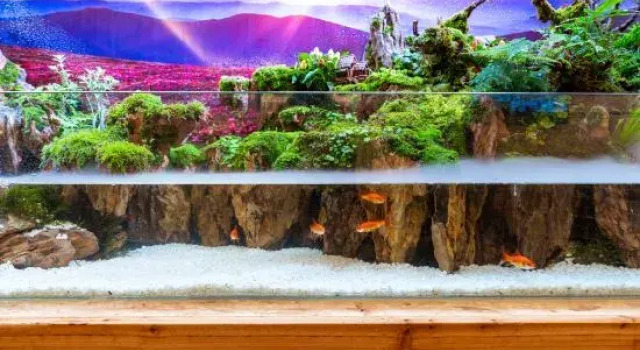 Qiuguo Inn, Book Hotel Longyan Fujian
