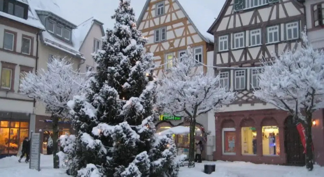 Holiday Apartment Old Town Hall, Reserva ahora Apartamento Tauberbischofsheim Odenwald