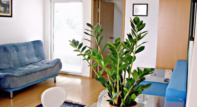 Апартаменты c 1 комнатой с балконом и с видом на море Apartments Villa Marija