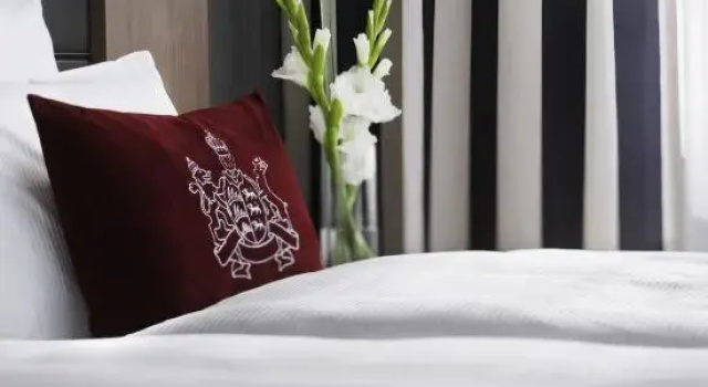 Люкс MÖVENPICK Hotel Stuttgart Airport
