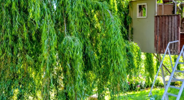 Апартаменты Paradiso Verde